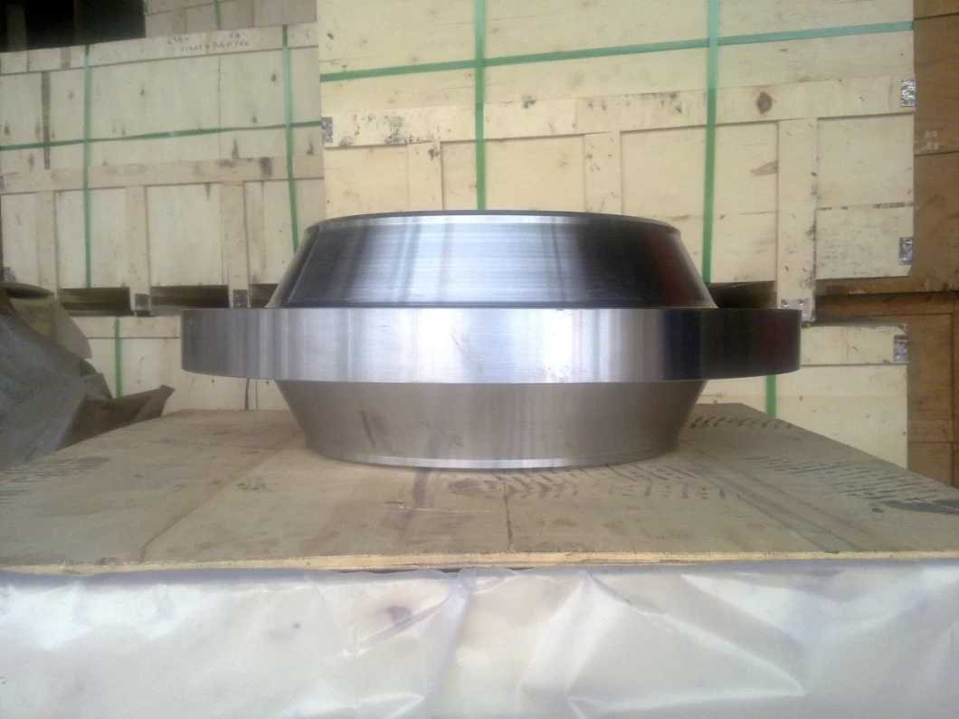 DN450 18 Inch Forged Carbon Steel Anchor Flange