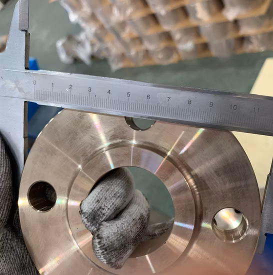 Flangia lap joint in acciaio inox